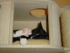 Katze schläft in Holzbox
